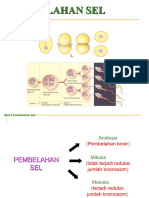 Pert 3. Pembelahan Sel