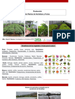 Producciòn de Plantas (Viveros) PDF040521