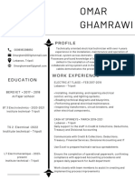 Omar Ghamrawi CV