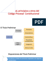 3 PPT Finalidad, Principios y Otros DPC