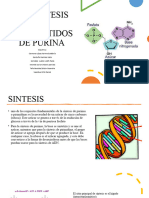 Biosintesis de Purinas y Novo 