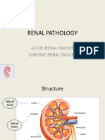 Renal Pathology