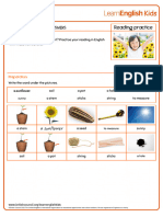 Reading Practice Growing A Plant Answers