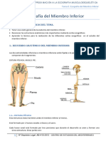 Tema 5. Ecografia Del Miembro Inferiorpdf