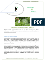 Control Plagas e Insecticida Natural