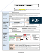 Obstruccion Intestinal