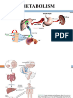 Drug Metabolism