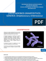 005b Streptococcus y Enterococcus