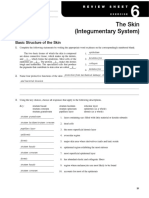 The Skin (Integumentary System)