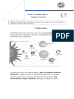 Leccion de Trabajo 3 Ciencias Tercero Básico