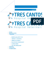 Técnica FAST y AFAST en Veterinaria - Todo Lo Que Debes Saber - Hospital Veterinario Tres Cantos