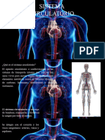 Sistema Circulatorio