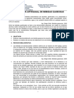 Practica N. 4 Elaboración de Bebidas Gaseosas