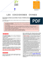 Les Coccidioses Ovines