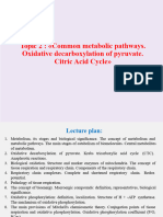 Lecture 02. Common Metabolic Pathways. Biological Oxidation. Tissue Respiration. Oxidative Phosphorylation