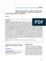 4 Prevalencia de Lesiones de Alto Grado y Cancer Cervicouterino en Pacientes Mayores y Menores de 25 Años en El Hospital "Dr. Pedro Moguillansky" de Cipolletti.