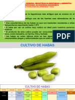 SEMANA 10-Cultivo de Habas