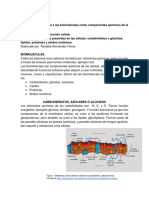 Biomoleculas