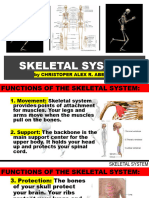 Skeletal System