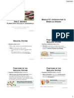 Chapter 6 PowerPoint Slides PDF