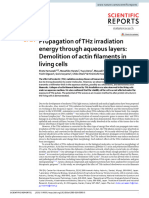 Propagation of THZ Irradiation s41598-020-65955-5-1