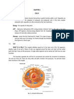 Chapter 2 Botany