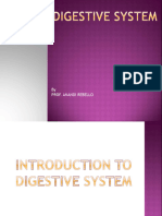 Digestive System 2021