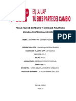 TRABAJO ACADEMICO DERECHO CONSTITUCIONAL Monografia-Garantias-Constitucionales