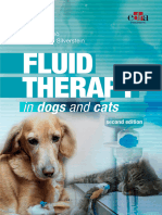 Fluid Therapy in Dogs and Cats