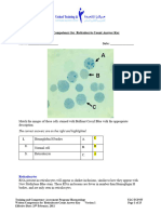 (Answer Key) Written Competency Reticulocytes