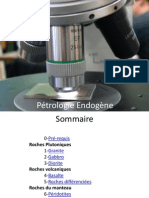 Pétrologie Endogène Final Rémi Charton