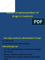 Routes of Administration of Drugs in Livestock