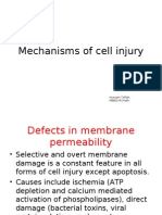 Mechanisms of Cell Injury