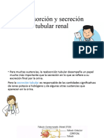 Reabsorcion y Secrecin Tubular Renal2