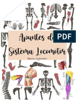 Apuntes Sistema Locomotor