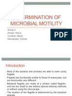 Determination of Microbial Motility