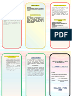 Triptico Calentamiento Global5