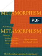 Report Metamorphism FINAL