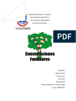 Constelaciones Familiares Estudiantes Venez)