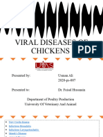 VIRAL DISEASES OF CHICKENS by USMAN ALI