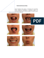 Pauta de Ejercicios Posicionamiento Lingual