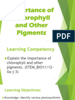 Importance of Chlorophyll and Other Pigments