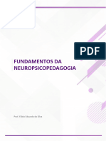 Fundamentos Da Neuropsicopedagogia: Aula 1