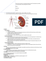 RENAL SYSTEM Handouts For Iloilo