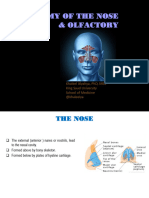 12 - Anatomy of The Nose