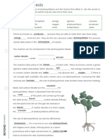 Photosynthesis Gap Fill Worksheet