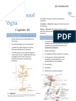 Neurofisiología (Recuperação Automática)