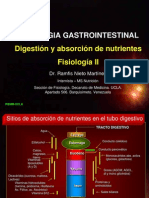 Absorcion Nutrientes