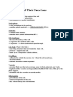 Cell Parts and Their Functions