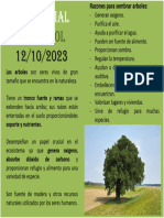 Dia Mundial Del Arbol 2023